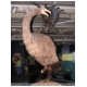 226_Te Papa.jpg
